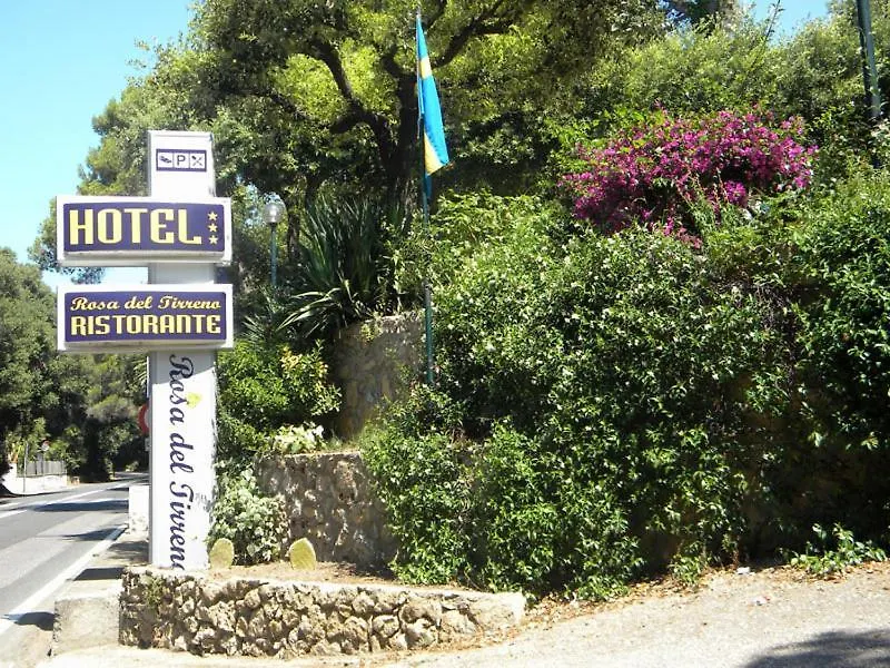 Hotel Rosa Del Tirreno-1
